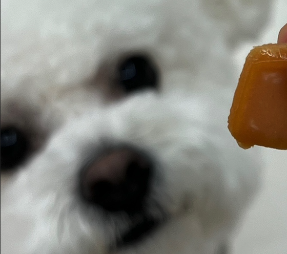 Cuteness save the world!!